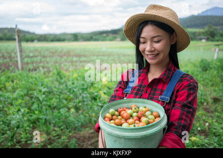 Lächelnd Landwirt in der Tomate Feld posing Stockfoto