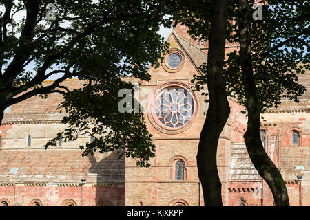 St Magnus Kathedrale Rosette, Kirkwall, Orkney, Schottland, Großbritannien Stockfoto