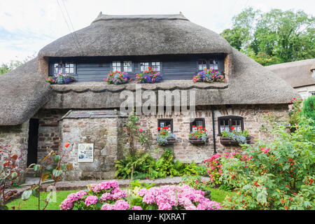 England, Torquay, Devon Cockington, strohgedeckten Haus Stockfoto