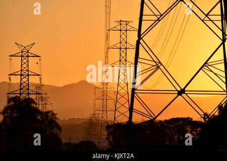 Australische Stromleitungen bei Sonnenuntergang Stockfoto