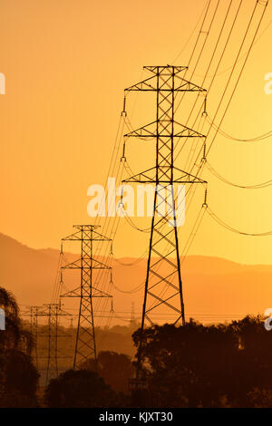 Australische Stromleitungen bei Sonnenuntergang Stockfoto