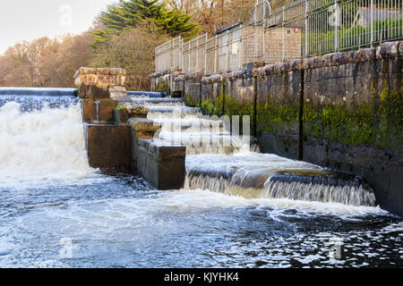 Obere Fischtreppe an der Seite von Lopwell Damm am Fluss Tavy, Devon, Großbritannien Stockfoto