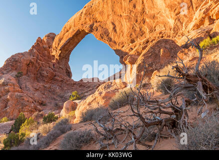 Süd Fenster Natural Arch im Abschnitt Windows des Arches National Park, in der Nähe von Moab, Utah Stockfoto