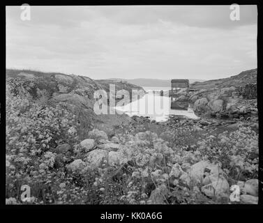 Ved Saltfjellet kein nb DigiFoto-Maker 2015112500062 NB MIT FNR 08975 Stockfoto