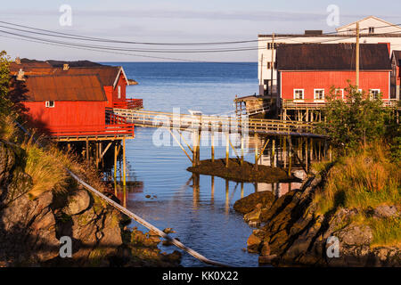 Ferienhaus am Strand auf Lofoten Stockfoto