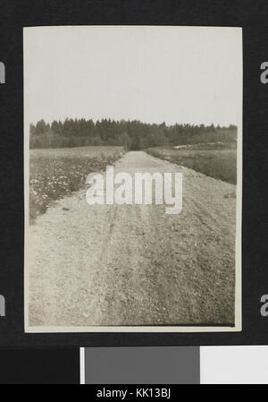 Dieses Foto aus dem Sam Eyde-Archiv zeigt eine historische Straße, die in den Wald führt, aufgenommen als Teil einer Landschaftsfotografiesammlung aus dem Jahr 2016, die Nostalgie und natürliche Schönheit einfängt. Stockfoto