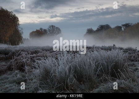 Einen kalten frostigen Morgen bei Tagesanbruch in Bushy Park, London, UK. eine Decke von Nebel, herbstliche Bäume und Gras in weißem, kristallinen Frost bedeckt. Stockfoto