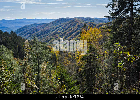 Great Smoky Mountains National Park. Stockfoto