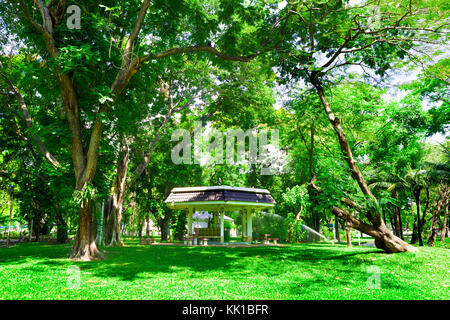 Lumphini Park. Grünes Gras und Bäumen. Landschaft outdoor. Stockfoto