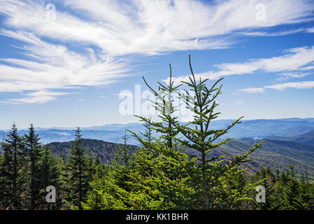 Great Smoky Mountains National Park. Stockfoto