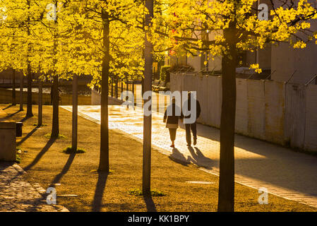 Paar, die im Herbst spazieren, Rückansicht eines reifen Paares, das an einem späten Herbstnachmittag in Berlin-Mitte spazieren geht. Stockfoto