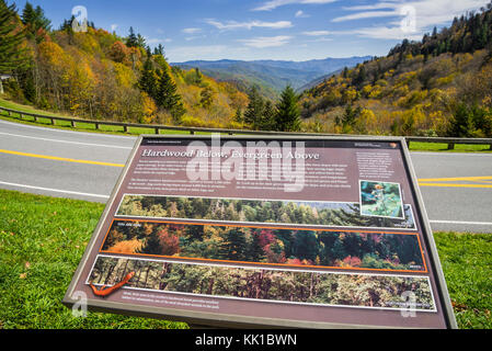 Great Smoky Mountains National Park. Stockfoto