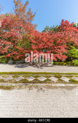 Herbstlaub Herbstlaub an Tenjuan Tempel geharkter Kies Rock Garden. Der subtemple Nanzenji. In Kyoto, Kyoto, Japan. Stockfoto