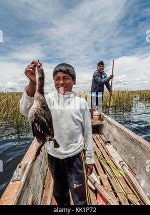 Jagd auf schwimmenden Inseln der Uros, Titicacasee, Puno, Peru Stockfoto