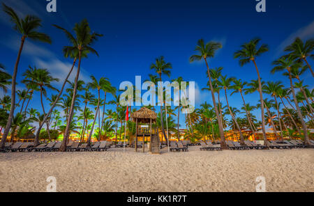 Palme auf der Tropical Beach. Stockfoto