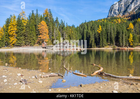 Blick auf die Pragser See in einem farbenfrohen Herbst Landschaft in den italienischen Dolomiten Alpen, Pustertal, im Fanes - Sennes und Prags. Stockfoto