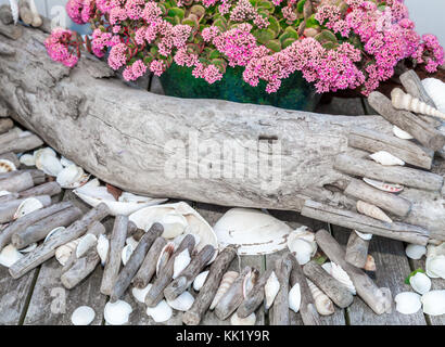 Rosa Blüten mit arrangiert gefundene Gegenstände wie Holz und Muscheln Stockfoto