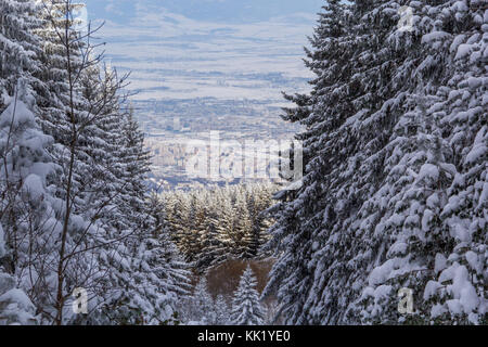 Blick auf die Stadt Sofia von der Berg Vitosha im Winter. Stockfoto