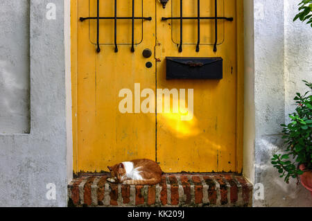 Katze auf den Straßen der Altstadt von San Juan, Puerto Rico. Stockfoto