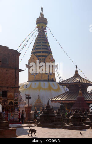 Swayambhunath Stupa, in Kathmandu Monkey Tempel Stockfoto