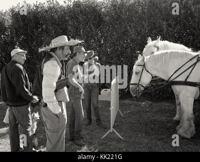 Wild West Show in der Charente Maritime Stockfoto