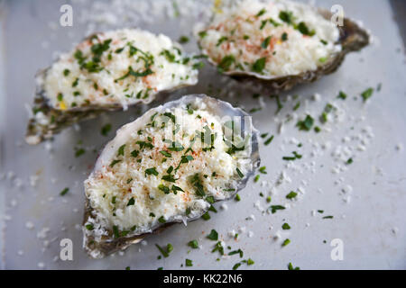 Austern in Halbschalen gekrönt mit Paniermehl, Kräutern und Paprika Backofen bereit Stockfoto