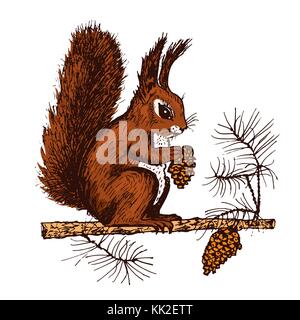 Weihnachten Eichhörnchen und Tier mit Fir-Kegel im Wald. Winterurlaub. graviert Hand in alte Skizze und Vintage Style für Postkarten erstellt. neues Jahr Symbol. Stock Vektor
