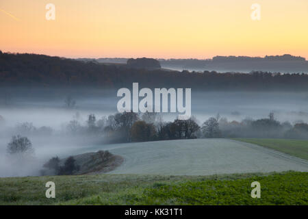 Früh morgens Nebel auf cotley Hill in der Nähe von heytesbury in Wiltshire. Stockfoto