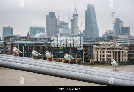 Kleine Vögel aufgereiht auf Geländer der Millennium Bridge auf grauer Tag, Themse, London, England, UK, mit Wolkenkratzer hinter Stockfoto