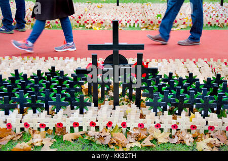 London, England, UK. Kreuze und Mohn auf dem Gelände von Westminster Abbey, den 11. November 2017 Stockfoto