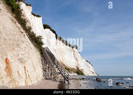 Møns Klint, den steilen Kreidefelsen bis zu 120 m über dem Meeresspiegel auf der östlichen Ostsee Küste der Insel Møn südöstlich von Seeland, Dänemark, Møn oder Moen. Stockfoto