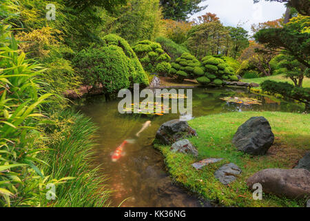 Japanischer Garten mit Fisch Stockfoto