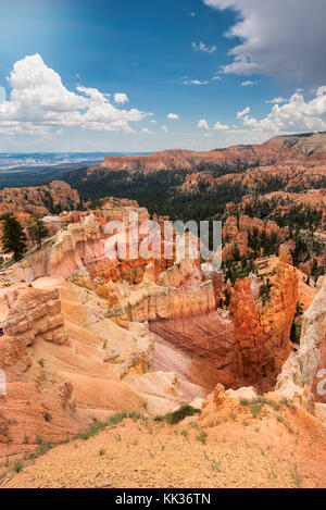 Bryce CanyonNationalpark Stockfoto