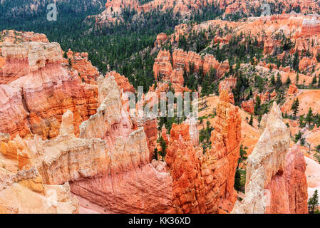 Bryce CanyonNationalpark Stockfoto