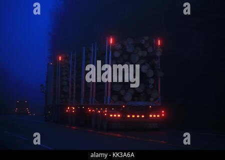 Salo, Finnland - 25 November 2017: Scania logging Truck hols Holz entlang der Autobahn bei Einbruch der Nacht, mit roten Leuchten am Anhänger wunderschön angezeigt. Stockfoto