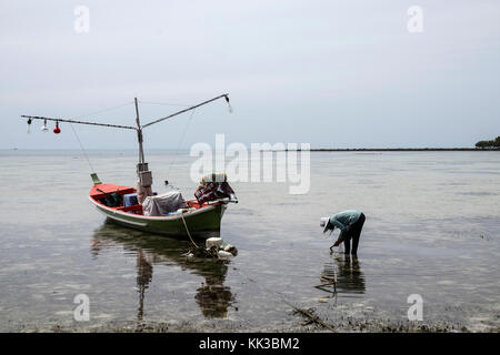 Alte Frau sammeln Muscheln im Meer in der Nähe von einem alten Fischerboot an der Chaweng Beach auf Koh Samui Stockfoto