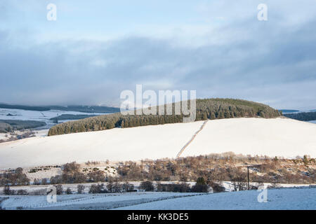 Winter in glenlivet Stockfoto