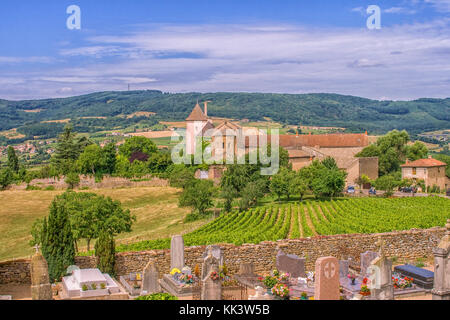 Typisch französisches Dorf in Burgund mit Weinbergen, Kirche und Friedhof Stockfoto