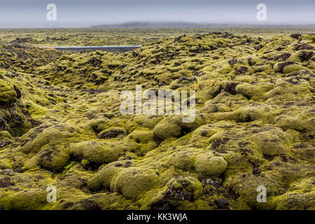 Lavafelder - auf dem Weg nach Johannesburg Stockfoto