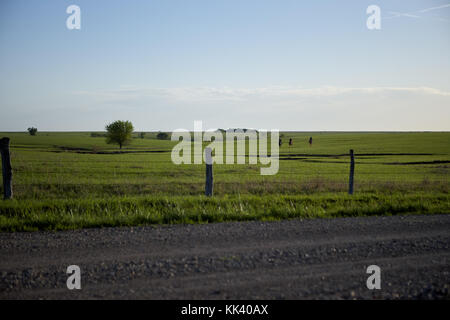 Schmutz Straße gegen den elektrischen Zaun umgebenden grünen Weide an einem sonnigen Tag Stockfoto