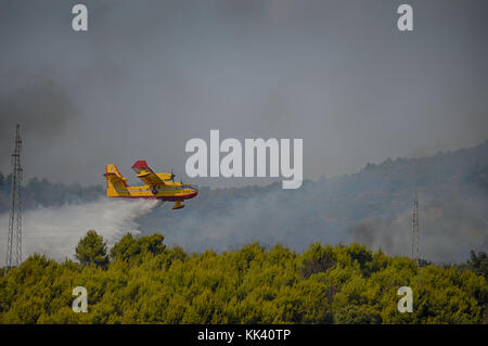 Kroatische AF Canadair CL 415 Superscooper Bekämpfung von Feuer in der Nähe von Srima, Šibenik, Kroatien Stockfoto