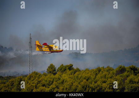 Kroatische AF Canadair CL 415 Superscooper Bekämpfung von Feuer in der Nähe von Srima, Šibenik, Kroatien Stockfoto