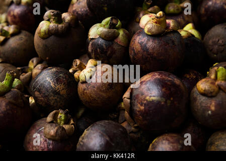 Mangostan, auch Purple Mangostan genannt Stockfoto