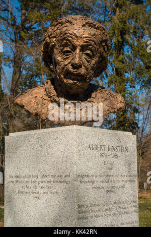 Albert Einstein Büste Princeton NJ Stockfoto