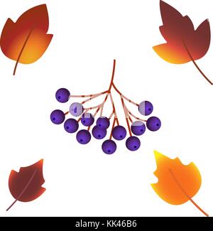 Herbst Blatt / Laublatt Ikonen der Eiche Eichel, Ahorn oder Elm und Rowan mit Beeren und Pilzen. Vektor isolierte Elemente für September herbstliche Verkauf Promo Poster, Stock Vektor