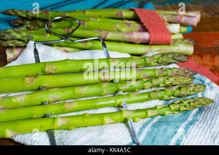 Grüne junge Spargel Triebe - Premium healtry Essen, bereit, zu kochen und für Grill Nahaufnahme Stockfoto