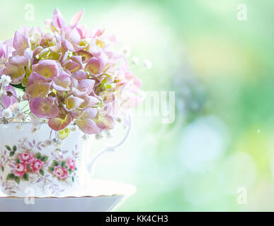 Hortensienblüten in einem bone china Teetasse angeordnet Stockfoto