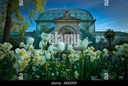 Der Baum und seine Nachbarn Garten von autueuil Gewächshäuser. - 09/04/2011 - - Das große Gewächshaus von Auteuil Gewächshäuser Garten, die Stadt Paris - Sylvain Leser/le pictorium Stockfoto