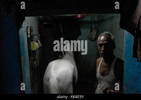 Bombay mumbai indische Blick - 19/05/2010 - in einem Slum in colaba - Sylvain Leser/le pictorium Stockfoto