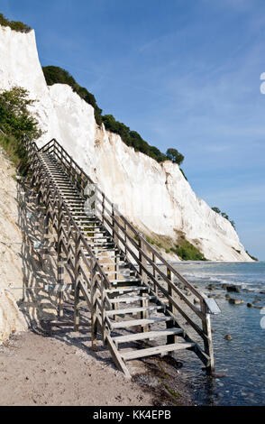 Møns Klint, den steilen Kreidefelsen bis zu 120 m über dem Meeresspiegel auf der östlichen Ostsee Küste der Insel Møn südöstlich von Seeland, Dänemark, Møn oder Moen. Stockfoto